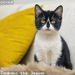 Vivienne Abbott Profile Picture