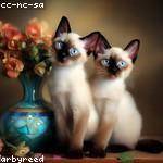 Marlin Schmeler Profile Picture