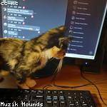 Eriberto Murray Profile Picture