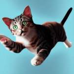 Ambrose Profile Picture