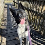 Alyson Profile Picture