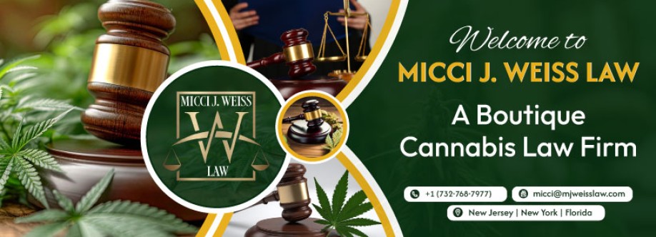 Micci J Weiss Law Cover Image